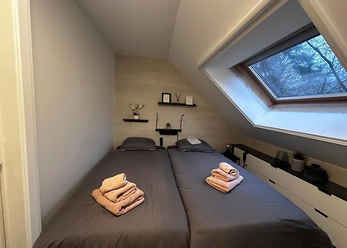 Forest Chalet - Family - Hikers - Digital Nomads - Hs Wifi - Houthalen, Genk, Fijnspar 108