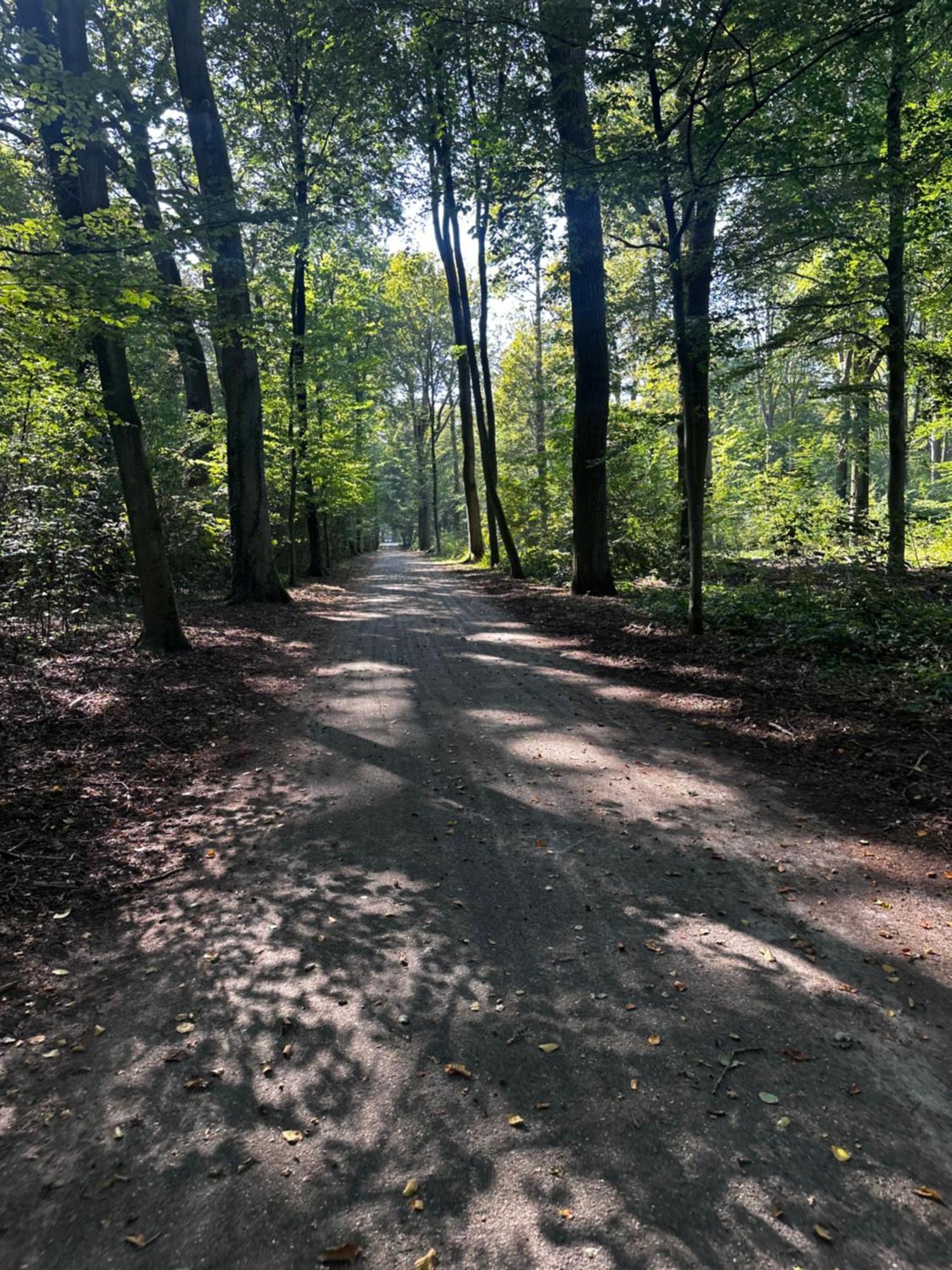 Apartment In Het Bos - Gezin - Wandelaars - Digital Nomads - Hs Wifi - Fijnspar 108